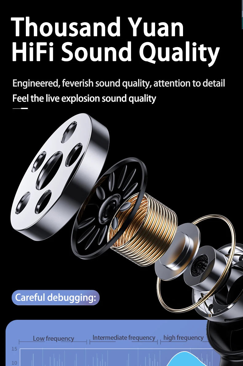Invisible Mini Earbuds